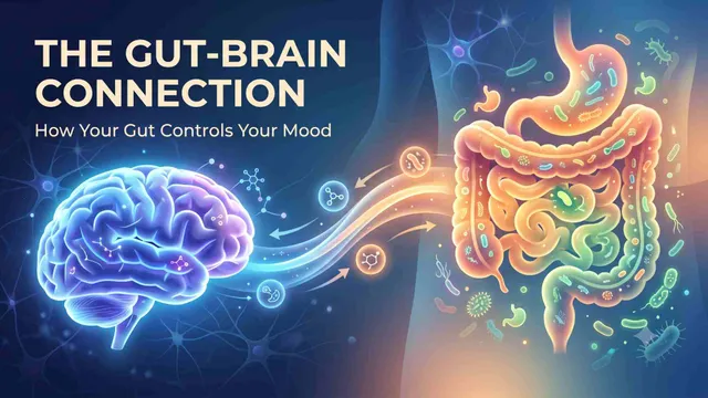 The Hidden Connection: Why Your Gut is Secretly Controlling Your Mood